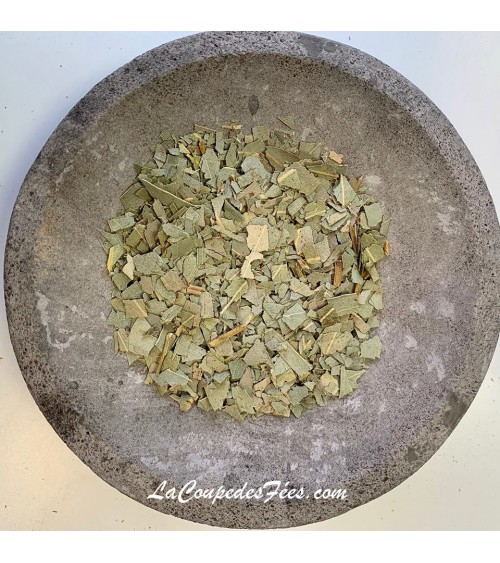 Eucalyptus 25 Gr