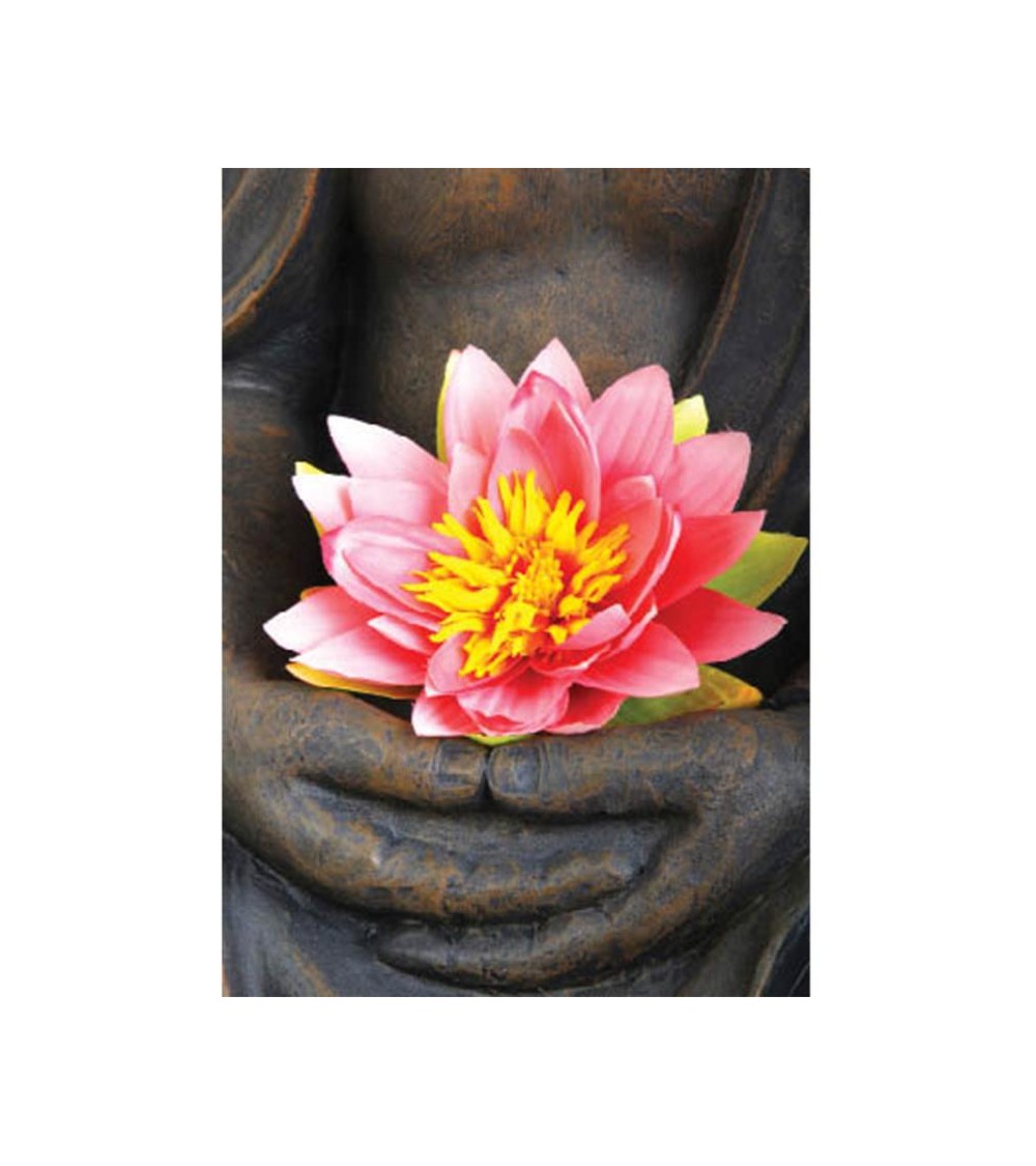 Carte postale Fleur de Lotus