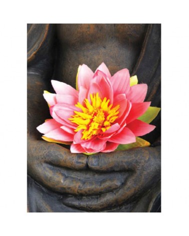 Carte postale Fleur de Lotus
