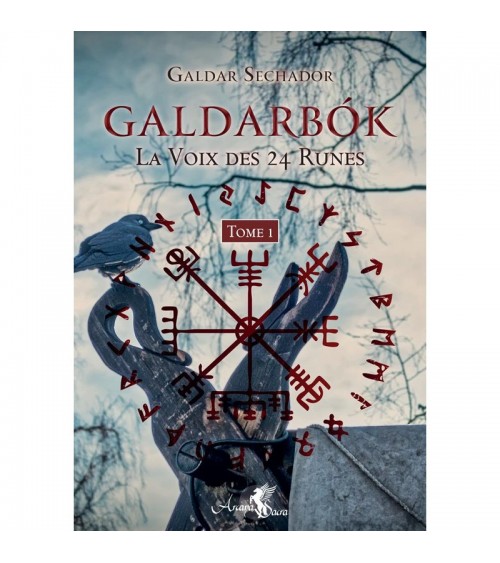 Galdarbok , la voix des 24 runes Tome 1