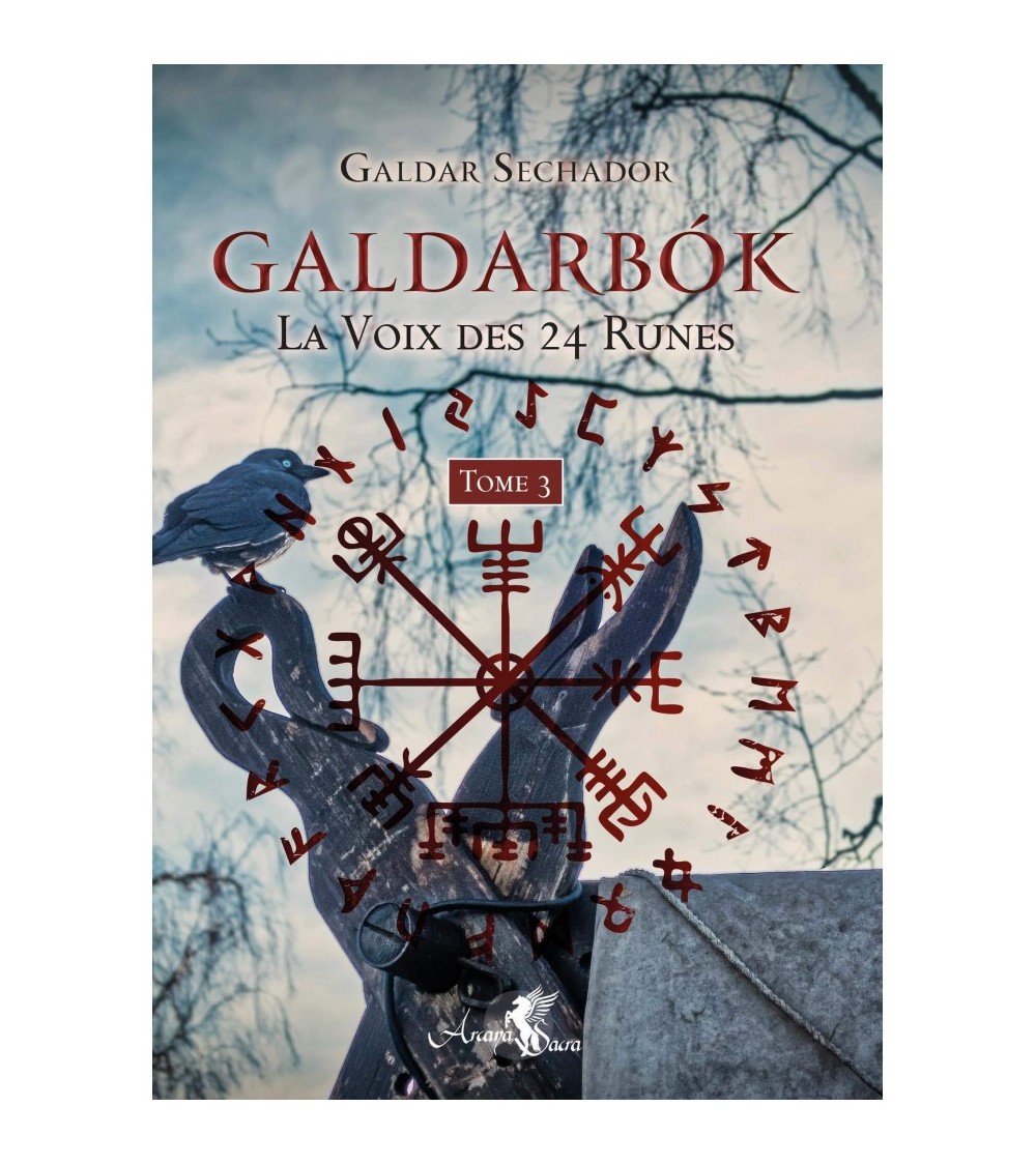 Galdarbok , la voix des 24 runes Tome 3