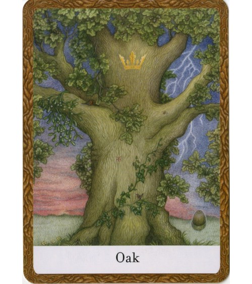 Coffret Oracle de la sagesse des arbres