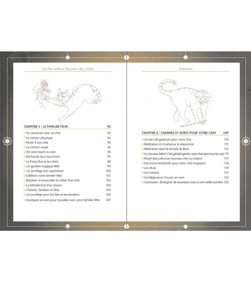 Les Merveilleux Pouvoirs des Chats - 2nd Édition