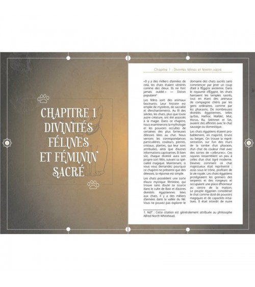 Les Merveilleux Pouvoirs des Chats - 2nd Édition