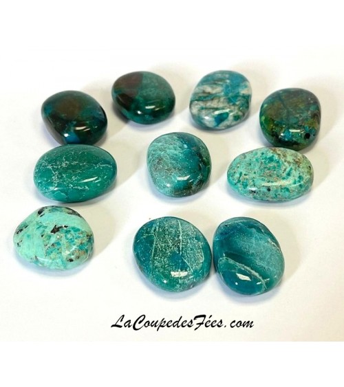 Chrysocolle