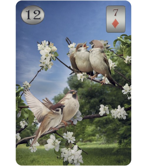 Oracle Thelema Lenormand