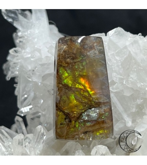 Pendentif Ammolite 10
