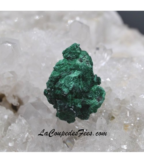 Malachite Fibreuse