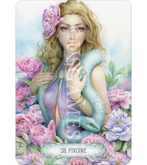 Oracle de la Lumière et des Rêves