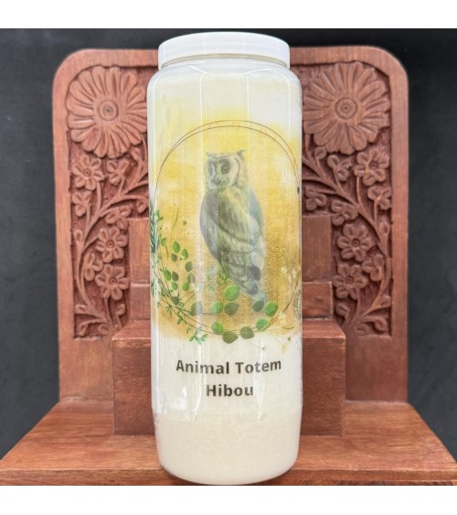 Neuvaine Animal Totem Hibou