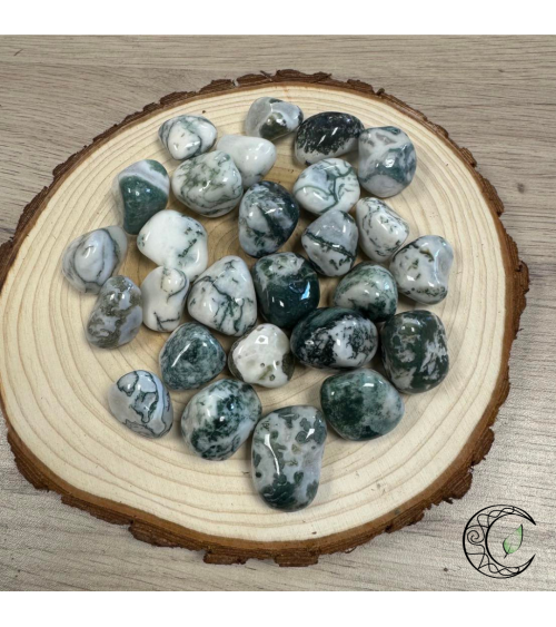 Agate Arbre
