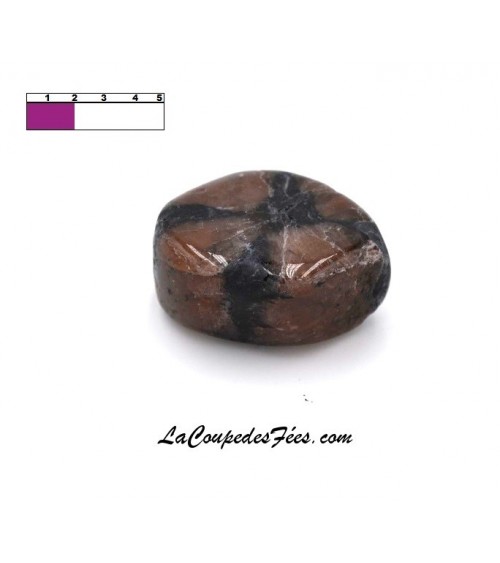 Chiastolite (Andalousite)