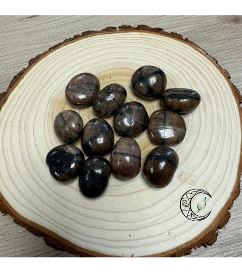 Chiastolite (Andalousite)
