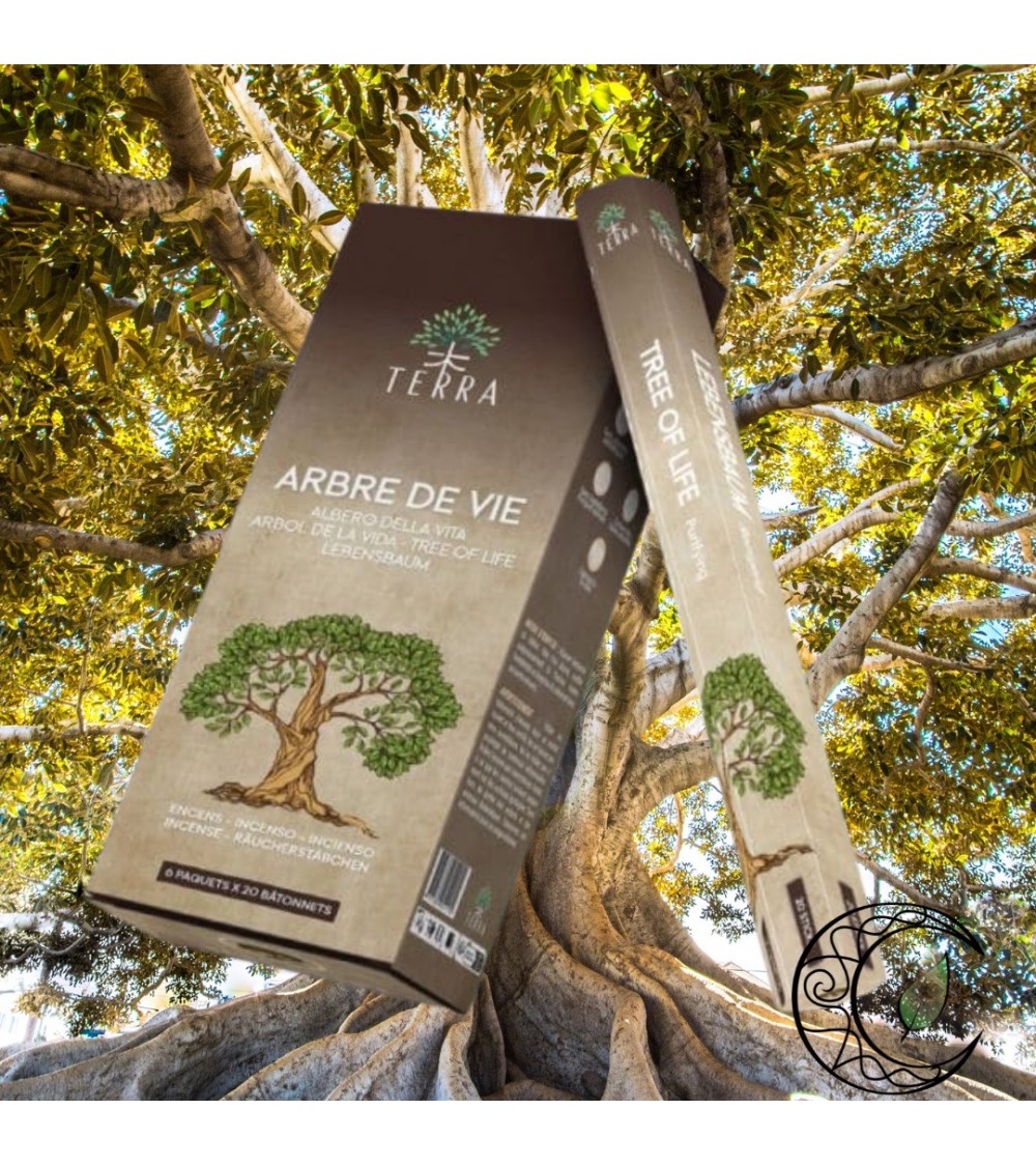Encens Arbre de vie Terra