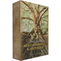 Oracle de la Numérologie Karmique