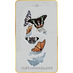 Oracle de la Numérologie Karmique