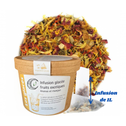 Infusion glacée Fruits Exotiques – Ananas & Mangue