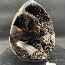 Oeuf de Septaria