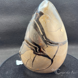 Oeuf de Septaria