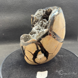 Oeuf de Septaria