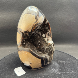 Oeuf de Septaria