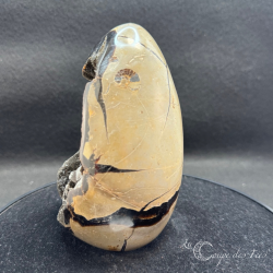 Oeuf de Septaria