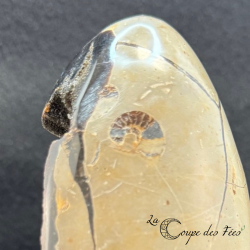 Oeuf de Septaria