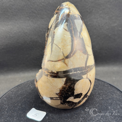 Oeuf de Septaria