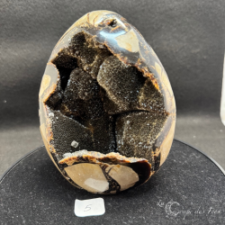 Oeuf de Septaria