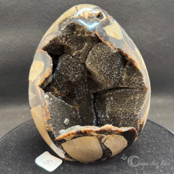 Oeuf de Septaria