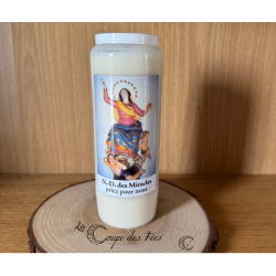Notre Dame des Miracles - Neuvaine