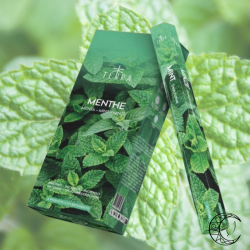 Encens Menthe Terra