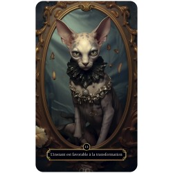 Oracle des Chats Mystiques