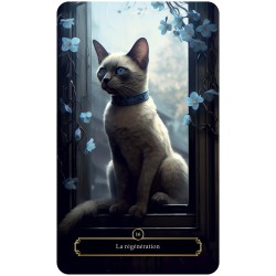 Oracle des Chats Mystiques