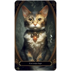 Oracle des Chats Mystiques