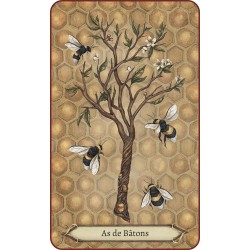 Tarot de la destinée