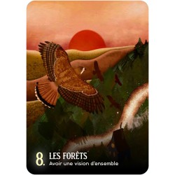 L'Oracle de la magie des sorcières