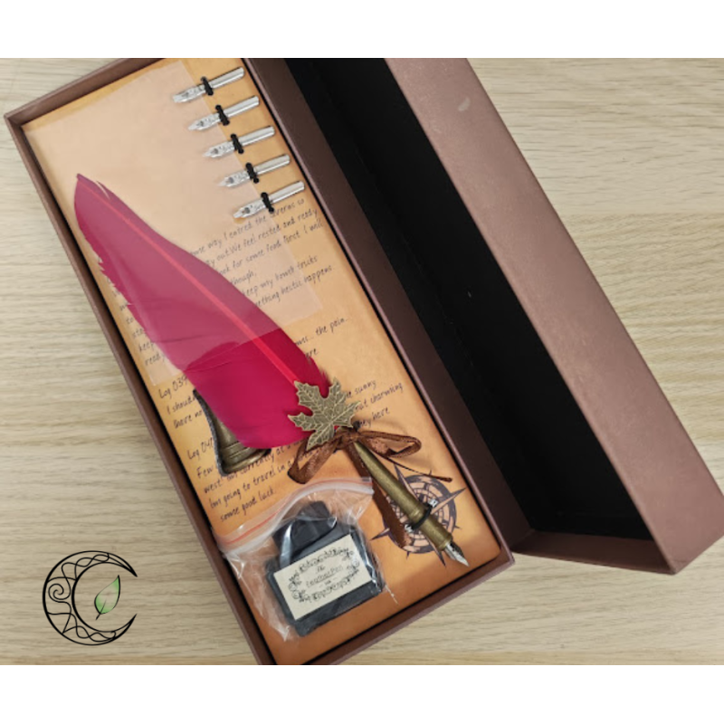 Coffret calligraphie ouvert montrant une plume rose, un flacon d'encre et 5 pointes sur fond parchemin