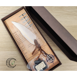 Coffret spirituel avec plume d'oie blanche pour écriture et manifestation, encre et pointes métalliques