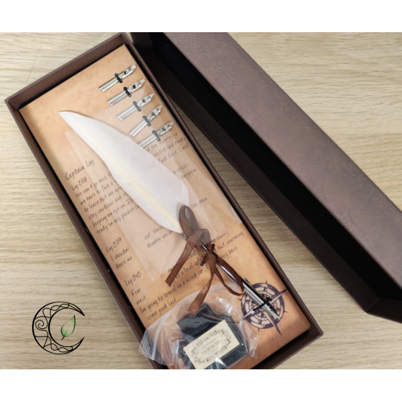 Coffret spirituel avec plume d'oie blanche pour écriture et manifestation, encre et pointes métalliques