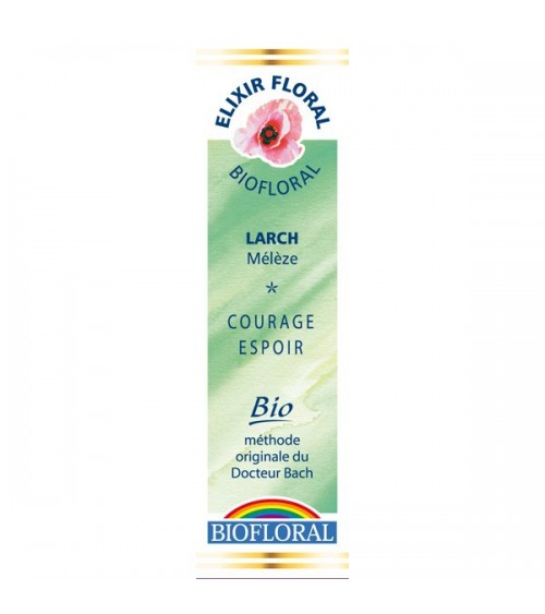 Élixir floral N° 19 - Larch