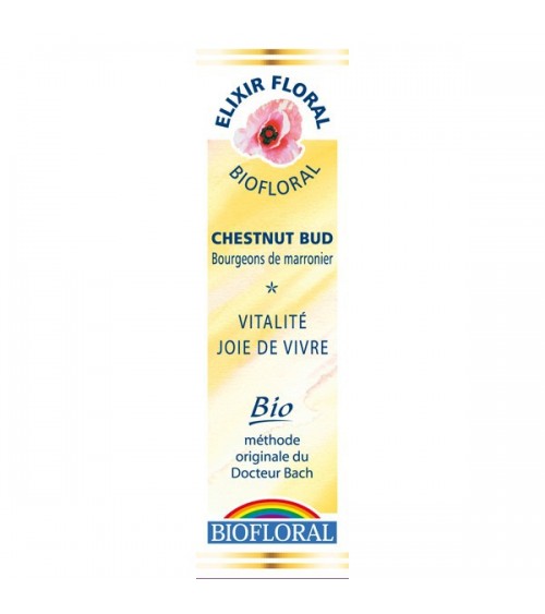 Élixir floral N° 7 - Chestnut bud