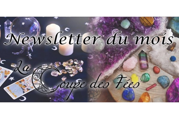 Newsletter Juillet 2024